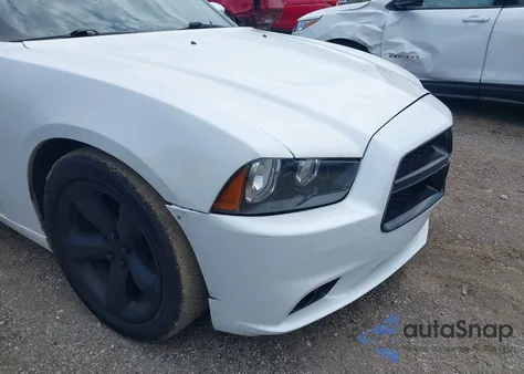 2013 Dodge Charger R/T Max from USA, damaged, VIN 2C3CDXCT1DH595978